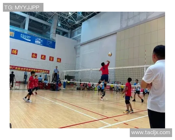 广州排球队在全国排球节奏排行榜中荣获第八名的佳绩引发热议