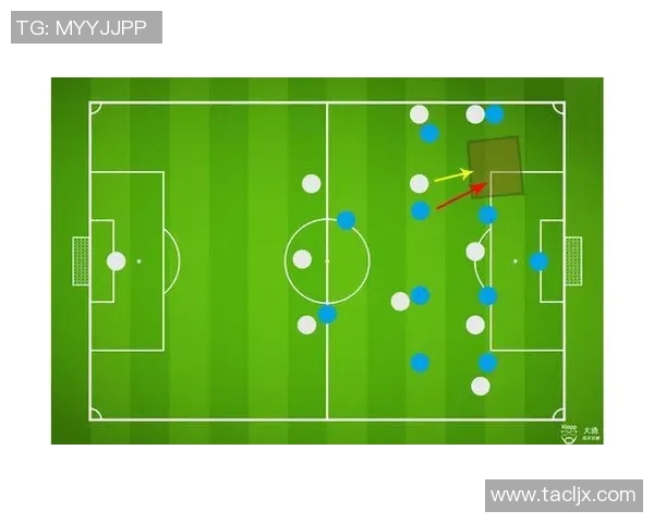 西安排球队的速度分析与战术运用探讨