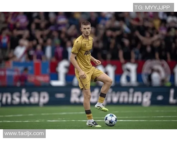 小蜘蛛的足球传奇身份揭秘他究竟是哪个足球明星